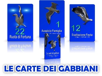 le carte dei gabbiani