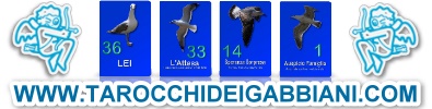 www.tarocchideigabbiani.com