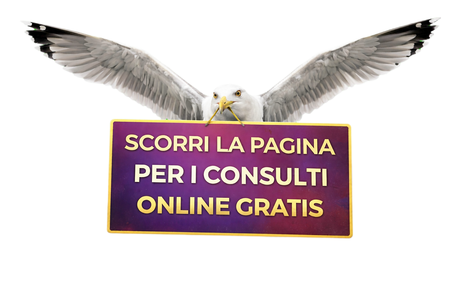 scorri la pagina per i consulti gratis online