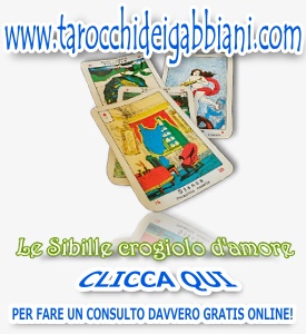 le carte dei gabbiani del maestro francesco